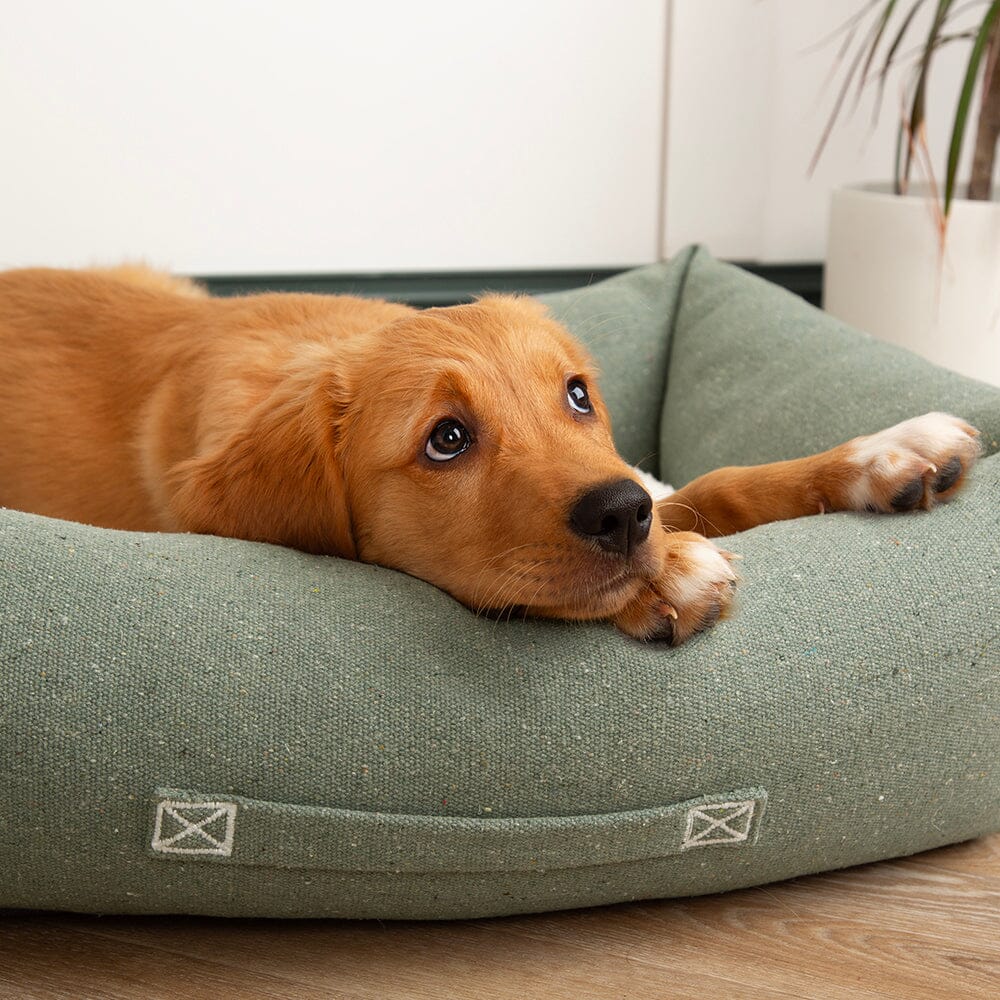 Scruffs® Eden Recycled Dog Box Bed | Eco Friendly Sherpa Luxury Pet Bed - Poochella®