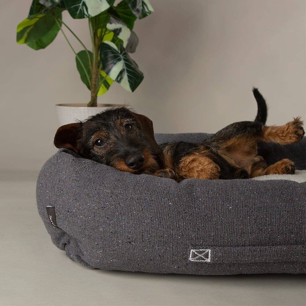 Scruffs® Eden Recycled Dog Box Bed | Eco Friendly Sherpa Luxury Pet Bed - Poochella®