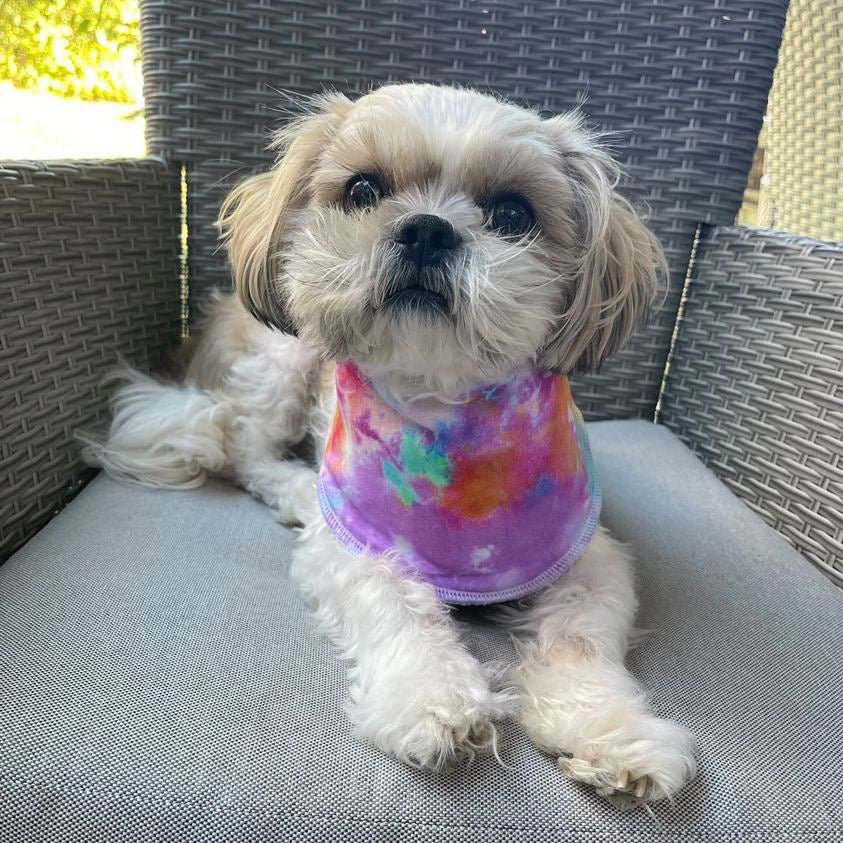 Sew Fetching Cooling Tie Dye 90's Style Hand Made Dog Bandana - Poochella®
