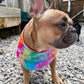 Sew Fetching Cooling Tie Dye 90's Style Hand Made Dog Bandana - Poochella®