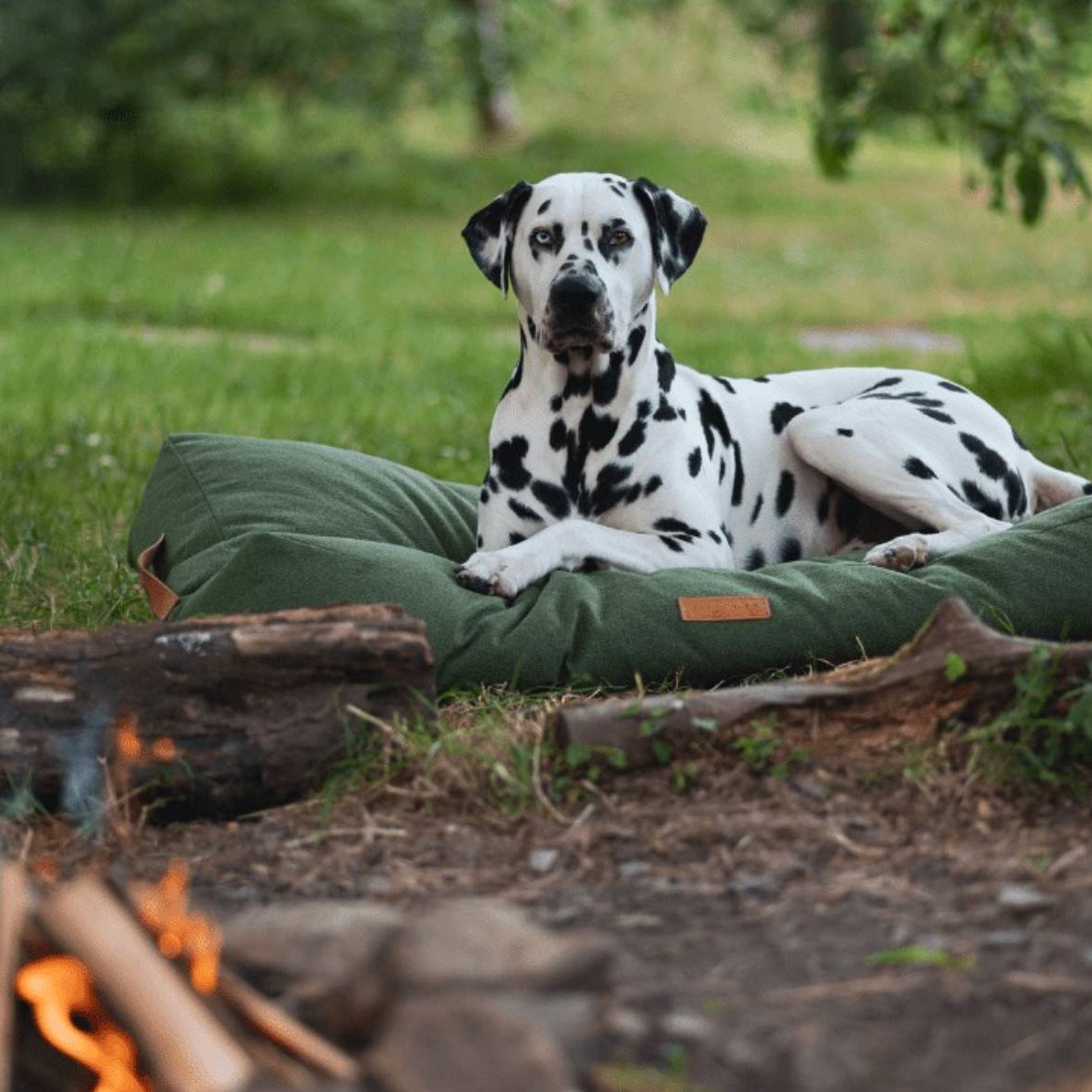 Dalmatian dog lying on a green dog bed in a natural setting with grass and trees.