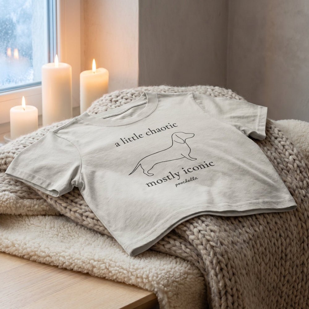 The Iconic Dachshund Heavy Faded Cropped T-Shirt | Minimal Dog Lover Streetwear | Poochella® - Poochella®