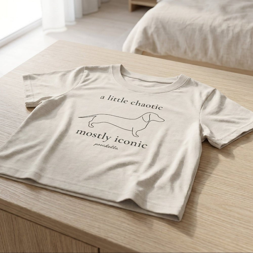 The Iconic Dachshund Heavy Faded Cropped T-Shirt | Minimal Dog Lover Streetwear | Poochella® - Poochella®