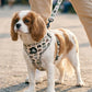 The Spotty Hound Soak Pup the Sun Dog Collar | Adjustable Tropical Pet Collar - Poochella®