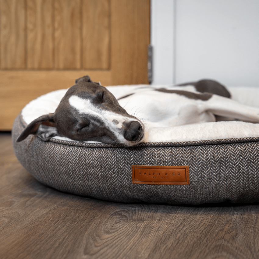 Dog resting on a textured pet bed with a visible brand logo in a home setting.