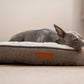 Dog resting on a cushioned pet bed with a brand label in a home setting