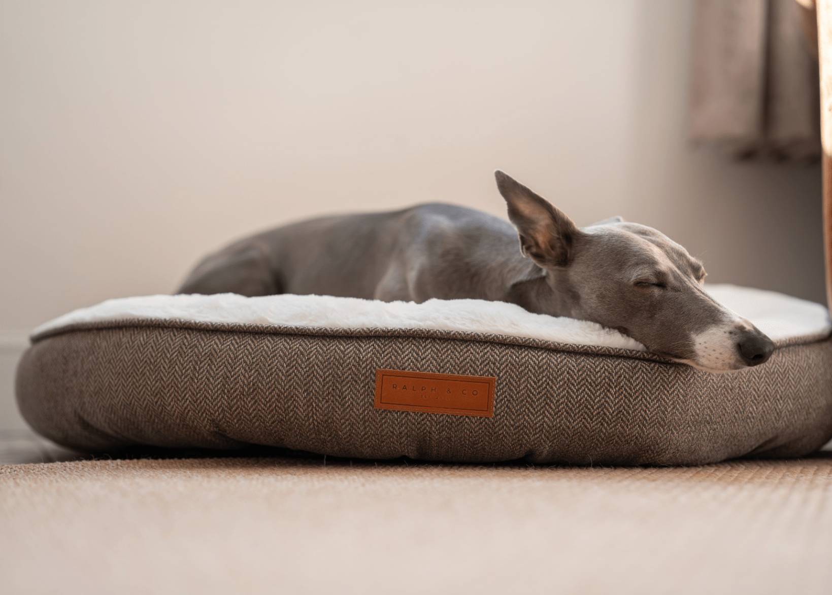 Dog resting on a cushioned pet bed with a brand label in a home setting