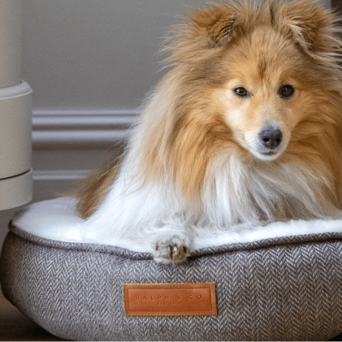 Dog lying on a textured pet bed with a visible brand label.