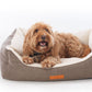 Dog lying on a brown pet bed with white cushion on a white background