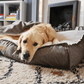Dog lying on a textured pet bed in a cozy living room.