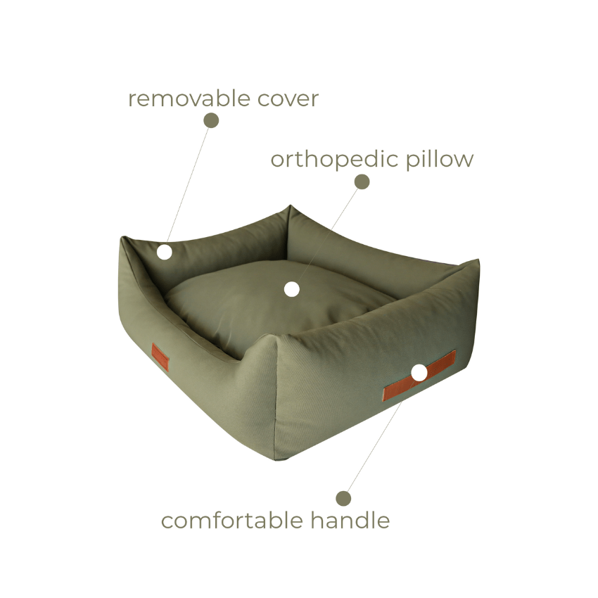 Green pet bed with text indicating removable cover, orthopedic pillow, and comfortable handle on a white background.