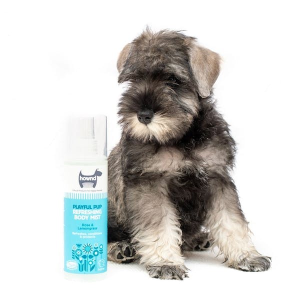 Hownd Playful Pup Refreshing Puppy Body Mist 250ml
