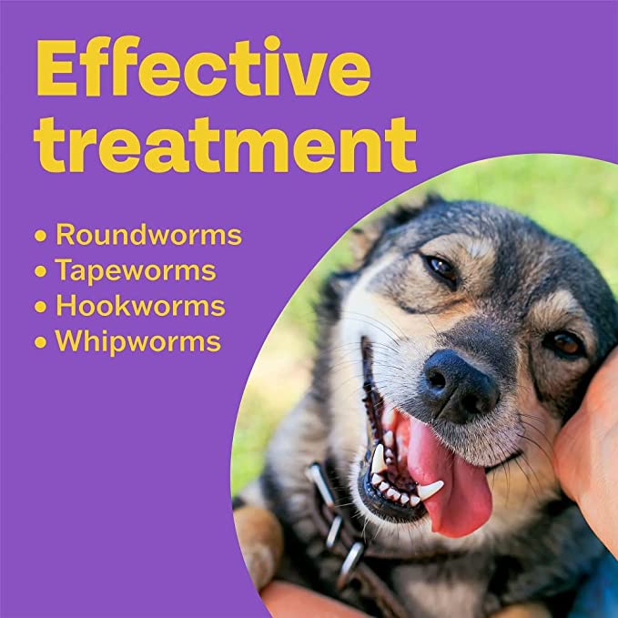 Roundworm treatment shop for dogs