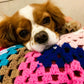 Hand-Made Charity Crochet Puppy Blanket by Tŷ Hafan
