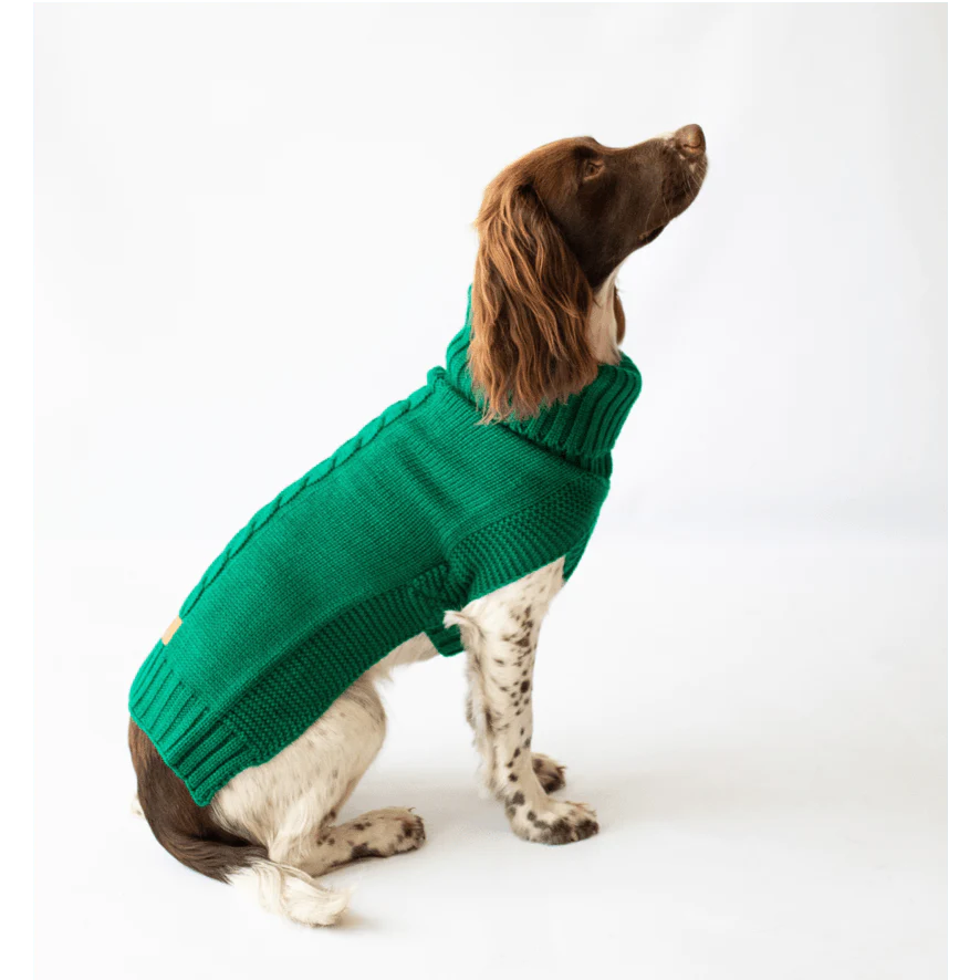 Canine & Co Dog Outfitters Jazz Cable Knit Jumper in Green