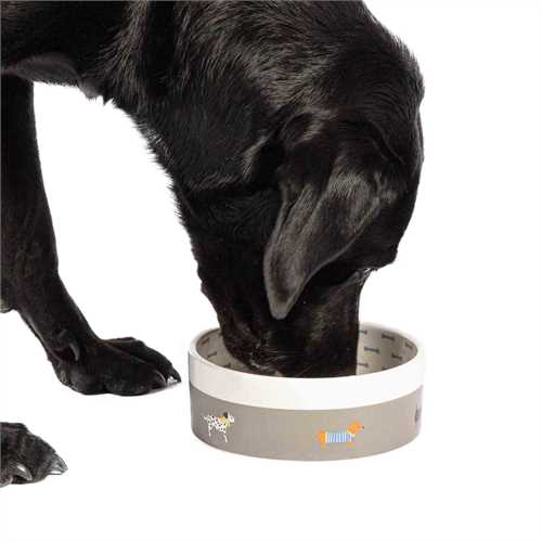 Fat Face Marching Dogs Ceramic Pet Bowl