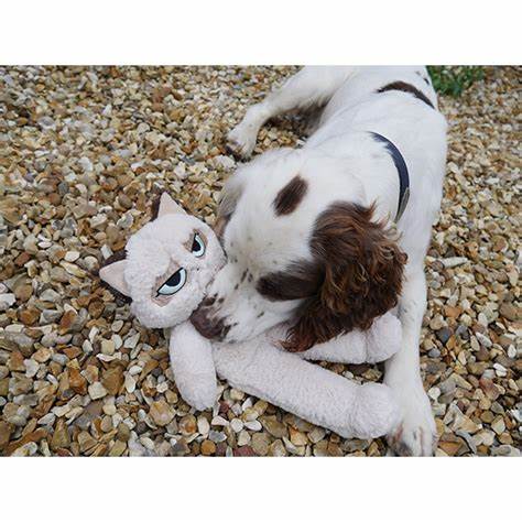 Grumpy Cat Plush Dog Toy by Rosewood Pets