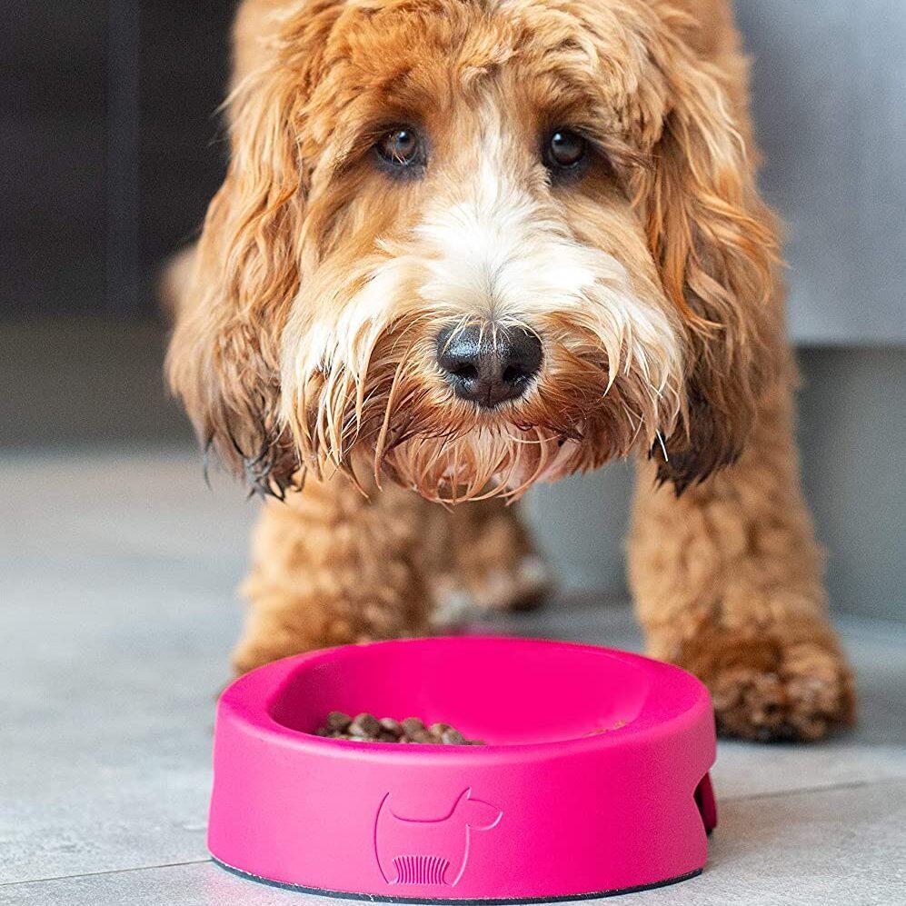 Hownd Hero Anti-Bacterial Pet Dog Bowl in Raspberry Rose