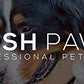 Posh Paws Pet Urine Accident Cleaner 500ml