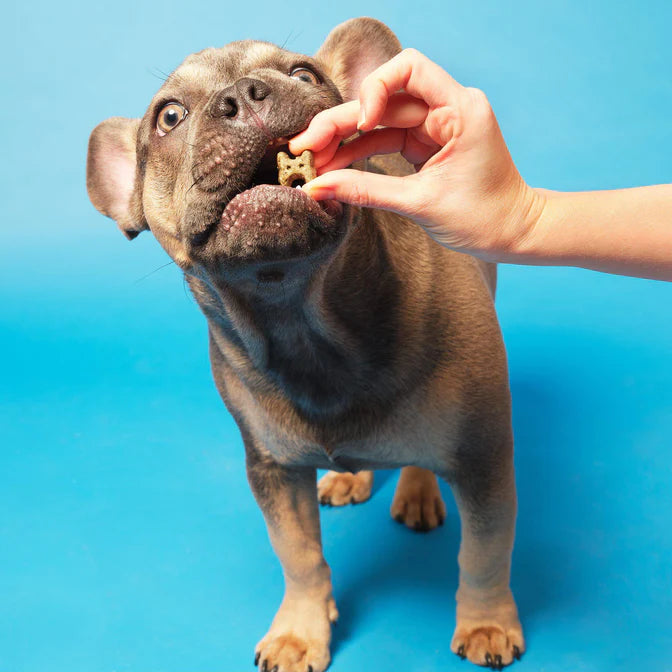 Pooch & Mutt Health & Digestion Natural Mini-Bone Dog Treats 125g