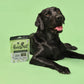 Pooch & Mutt Superfood Spirulina & Mint Dental Sticks for Dogs
