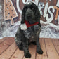 Ink Shop Hand-Made Wool Crochet Doggie Christmas Scarf Red