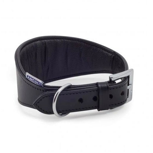Ancol Black Leather Padded Hound Collar – Genuine Leather Greyhound & Whippet Collar | Luxury Dog Collar UK - Poochella®