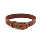 brown ancol leather dog collar