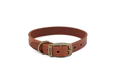 brown ancol leather dog collar