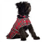 A black dog wearing a red tartan Ancol Highland dog coat with a hook and loop neck