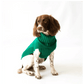 Canine & Co Jazz Cable Knit Dog Jumper – Green Roll Neck Dog Sweater | Luxury Dog Jumper UK - Poochella®