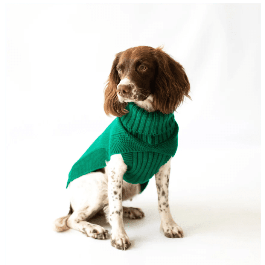 Canine & Co Jazz Cable Knit Dog Jumper – Green Roll Neck Dog Sweater | Luxury Dog Jumper UK - Poochella®