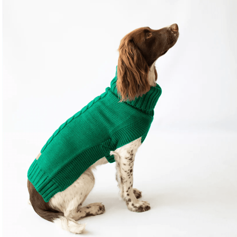 Canine & Co Jazz Cable Knit Dog Jumper – Green Roll Neck Dog Sweater | Luxury Dog Jumper UK - Poochella®