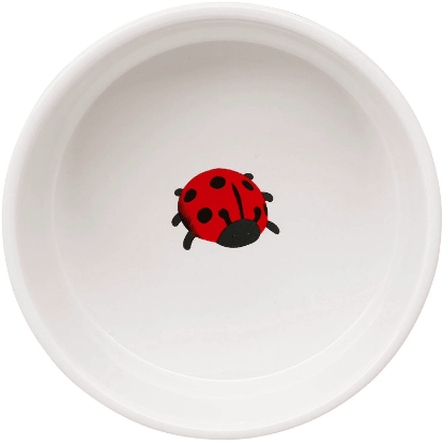 inside of ceramic dog bowl