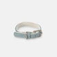 light blue leather look dog colour on white background