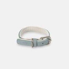 light blue leather look dog colour on white background