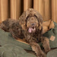 Danish Designs Tweed Green Check Snuggle Pet Dog Bed - Poochella®
