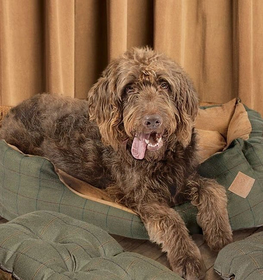 Danish Designs Tweed Green Check Snuggle Pet Dog Bed - Poochella®
