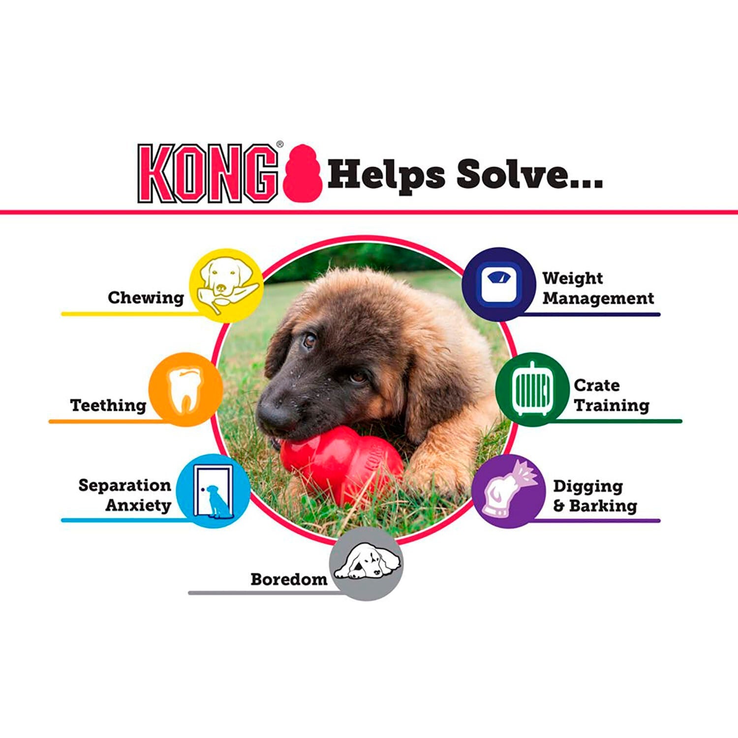 kong dog toy benefits guide