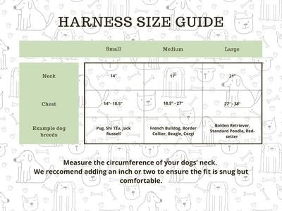 Paws & Play Dog Harness & Lead Set | Scout Blue | Adjustable No Pull Luxury Dog Walking Set - Poochella®