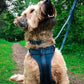 Paws & Play Dog Harness & Lead Set | Scout Blue | Adjustable No Pull Luxury Dog Walking Set - Poochella®