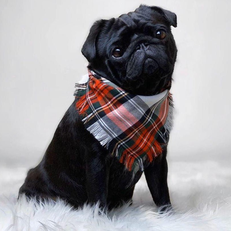 Pet Pooch Boutique 'Scamps' Frayed Tartan Dog Bandana | Handmade Country Style Pet Bandana - Poochella®