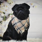 Pet Pooch Boutique 'Scamps' Frayed Tartan Dog Bandana | Handmade Country Style Pet Bandana - Poochella®