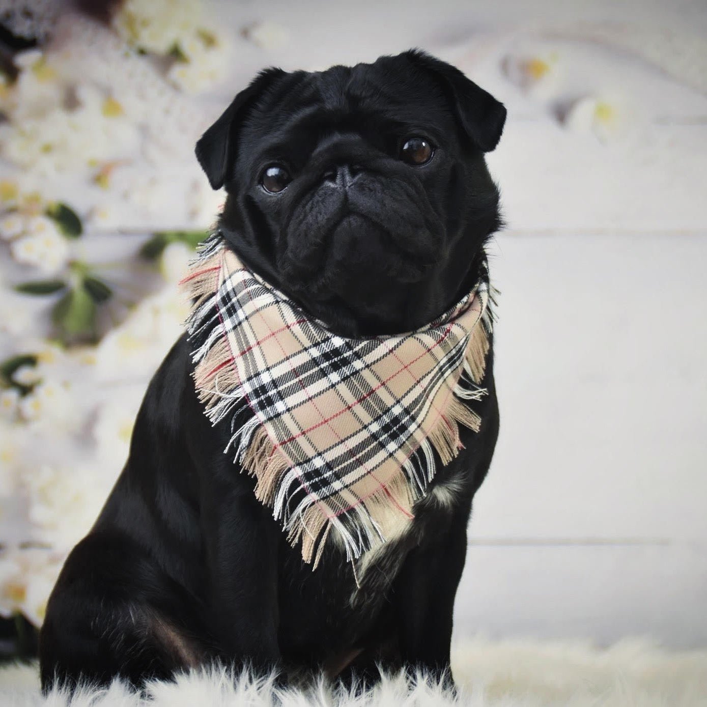 Pet Pooch Boutique 'Scamps' Frayed Tartan Dog Bandana | Handmade Country Style Pet Bandana - Poochella®