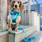 Pet Pooch Boutique Teal Tornado Pet Dog Harness & Lead Set - Poochella®
