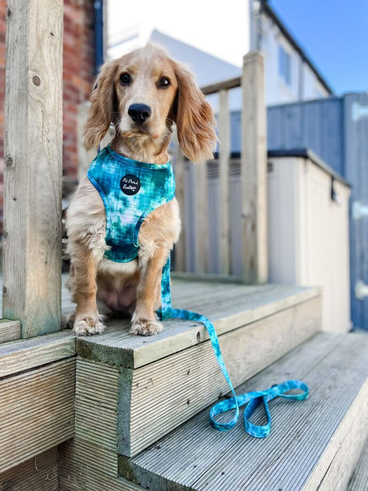 Pet Pooch Boutique Teal Tornado Pet Dog Harness & Lead Set - Poochella®