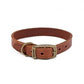 Ancol Heritage Latigo Leather Dog Pet Collar