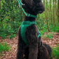Paws & Play Luxury Dog Harness & Lead Set in Arnie Green