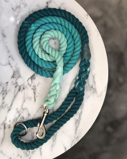tea blue rope dog lead