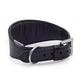 Black padded leather hound  dog collar with a buckle closure and extra padding, designed for Whippet or Greyhound dogs.
